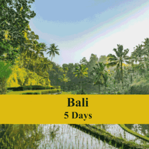 05 days Bali