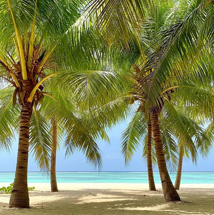 Mauritius 05 Days Luxury Stay - Image 3