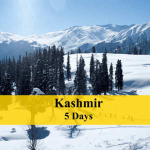 KASHMIR 4N - 5D with House Boat stay